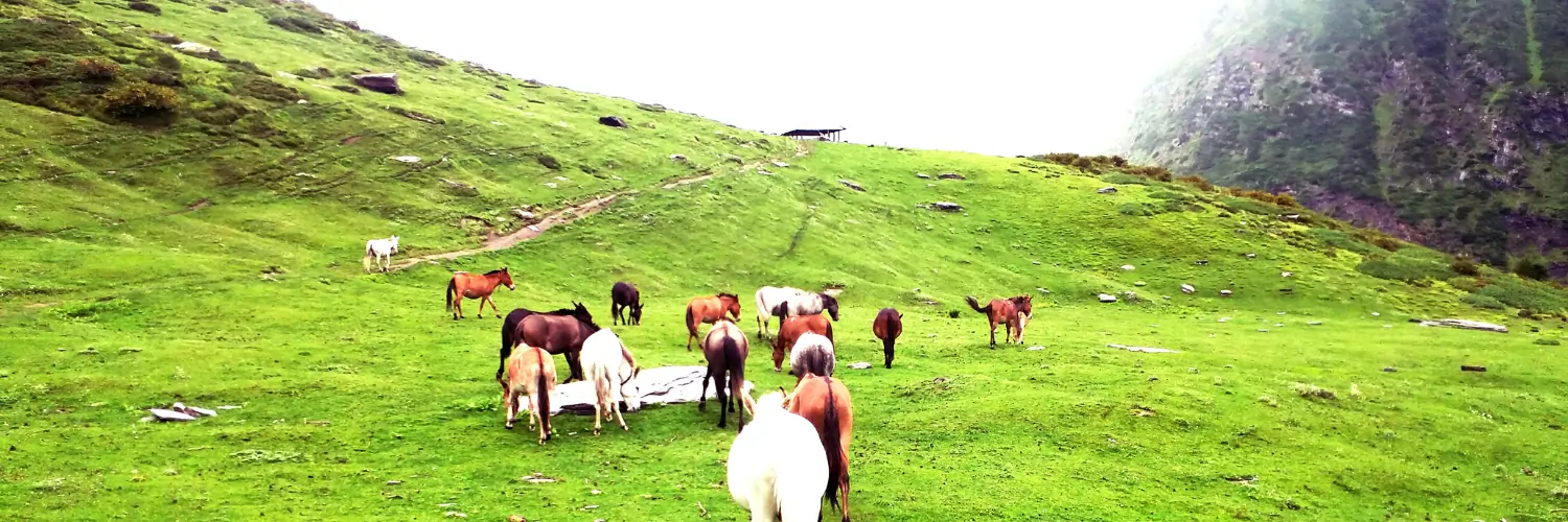 Travel Pahad